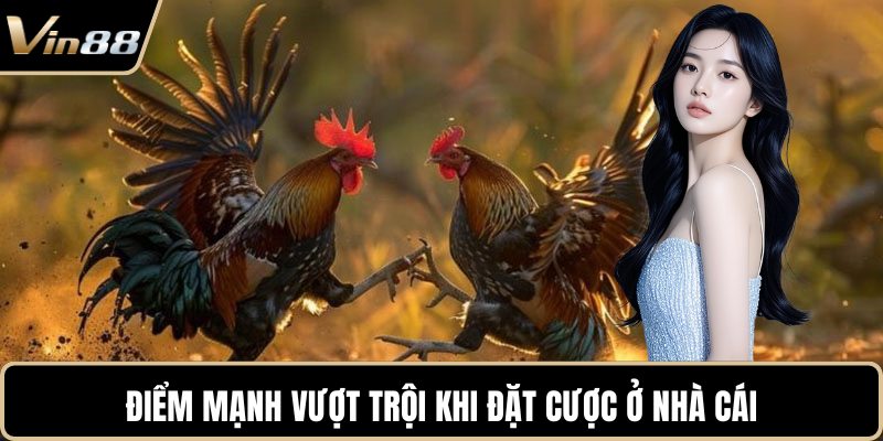 Điểm mạnh vượt trội khi đặt cược ở nhà cái